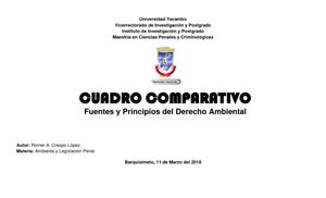 Cuadro Comparativo Fuentes Y Principios Del Derecho Ambiental