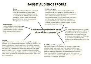 Target Audience Profile