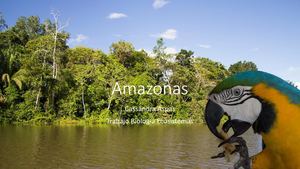 Amazonas