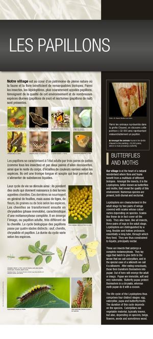 Panneaux Musée Magnanerie Ver à soie