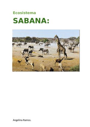 Ecosistema Sabana
