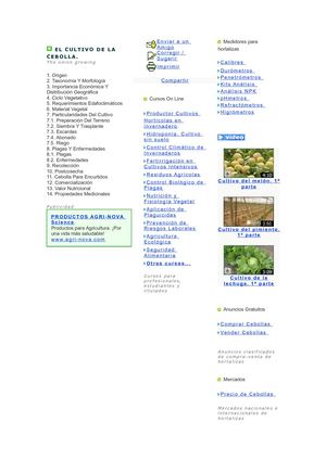 El Cultivo De La Cebolla