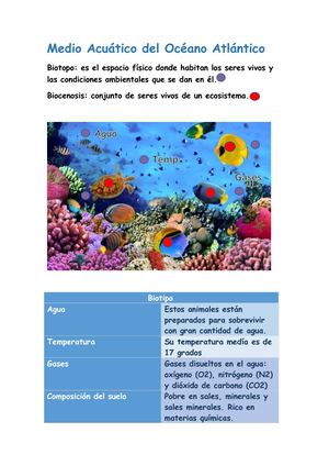 Medio Acuático Bien Hecho Pdf