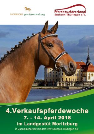 Katalog Verkaufspferde 2018