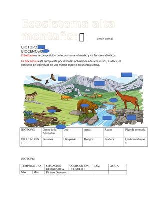 Ecosistema Alta Montaña