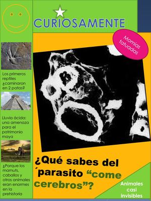 Revista Curiosamente