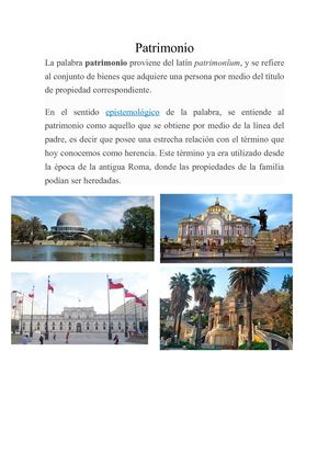 Paz Reyes Perez Definición De Patrimonio