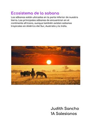 Ecosistema De La Sabana