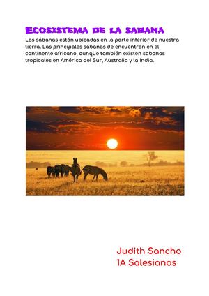 Ecosistema De La Sabana (3)