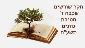 מצגת שורשים