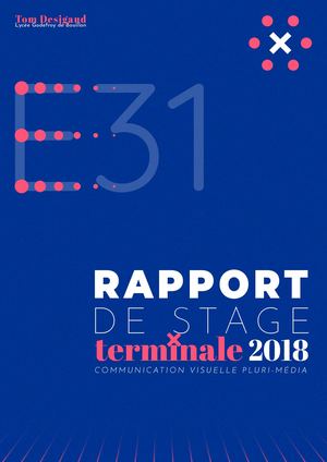 Rapport de stage (E31)