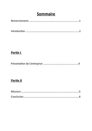 Rapport De Stage