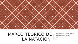 Marco Teórico De La Natación