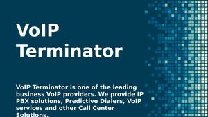 VoIP Terminator