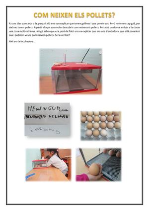 Naixement Dels Pollets