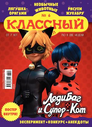 Классный журнал №6