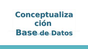 Conceptualización Base de Datos