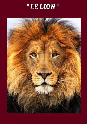 Le Lion