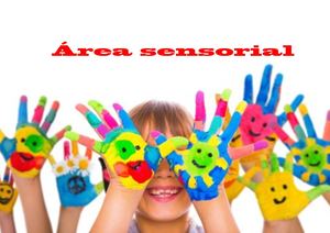 Area Sensorial