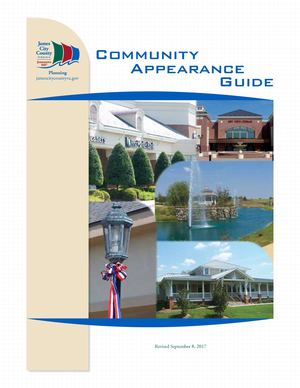 Calaméo - Community Appearance Guide 2017