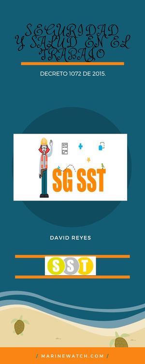 Infografia Sst