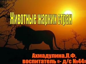 животные жарких стран