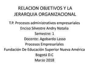 Relacion Objetivos Y La Jerarquia Organizacional