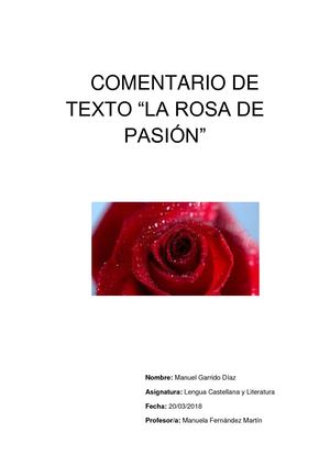 Comentario La Rosa De Pasión