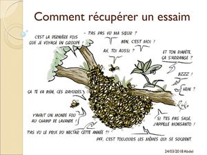 Comment Récupérer Un Essaim