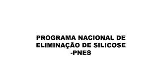 Programa Nacional De Eliminação Da Silicose