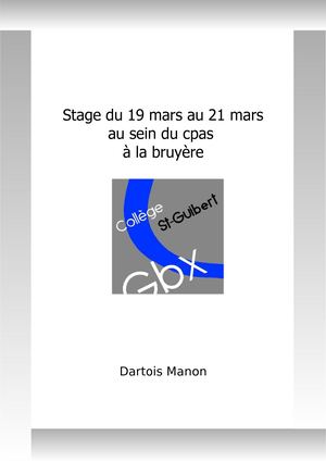 Rapport De Stage Fictif