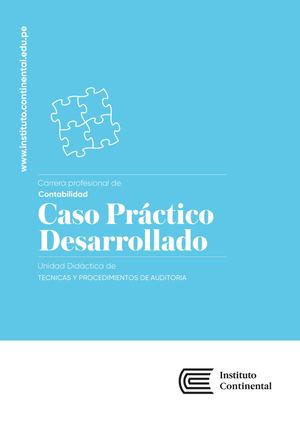 CONT 2018 Técnicas Y Procedimientos De Auditoría CD 3