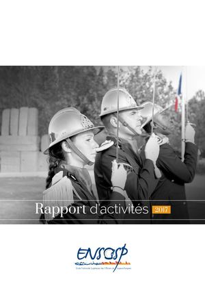 Le rapport d'activités 2017