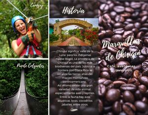 Amaryllis de Chiriqui  Brochure