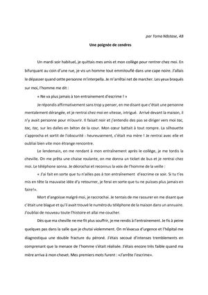 Redaction Fantastique Nastase Toma 4eme B