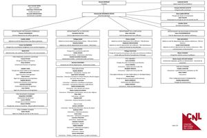 Organigramme du CNL (1er avril 2018)