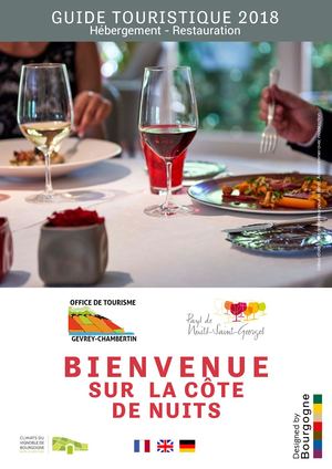 Guide Pratique Ot Nsg 2018 Web