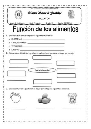 Función De Los Alimentos