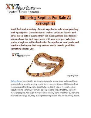 Slithering Reptiles For Sale At Xyz Reptiles