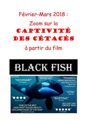 Blog Février Mars Captivité Cétacés