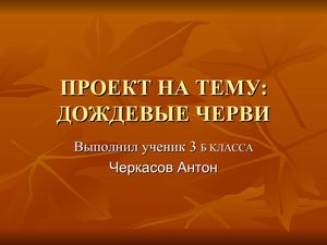 дождевые черви