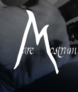 Catalogo Mare Mostrum