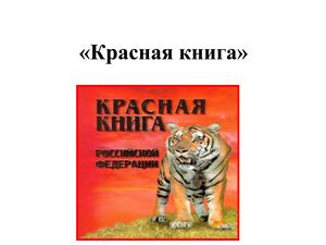 Красная книга