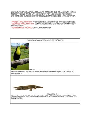 Marcos Garvin Tarea Vídeo Ecosistemas Ii