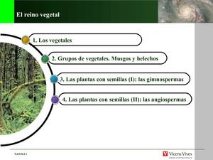 Reino Plantas 1º E S O