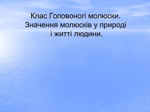 Клас Головоногі молюски