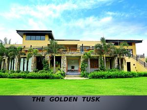 The Golden Tusk