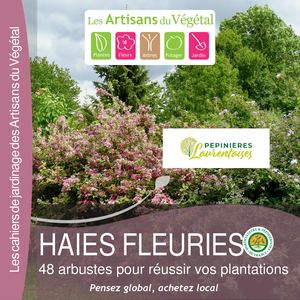 Plantes Pour Haies Fleuries 1