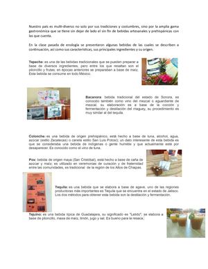 Bebidas tradicionales y prehispanicas