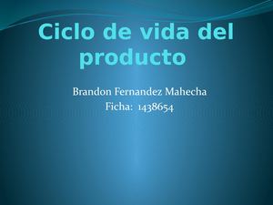 Ciclo De Vida Del Producto Brandon